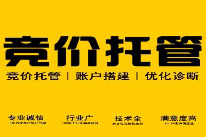 百度竞价排名实战：关键词优化与广告投放策略案例
